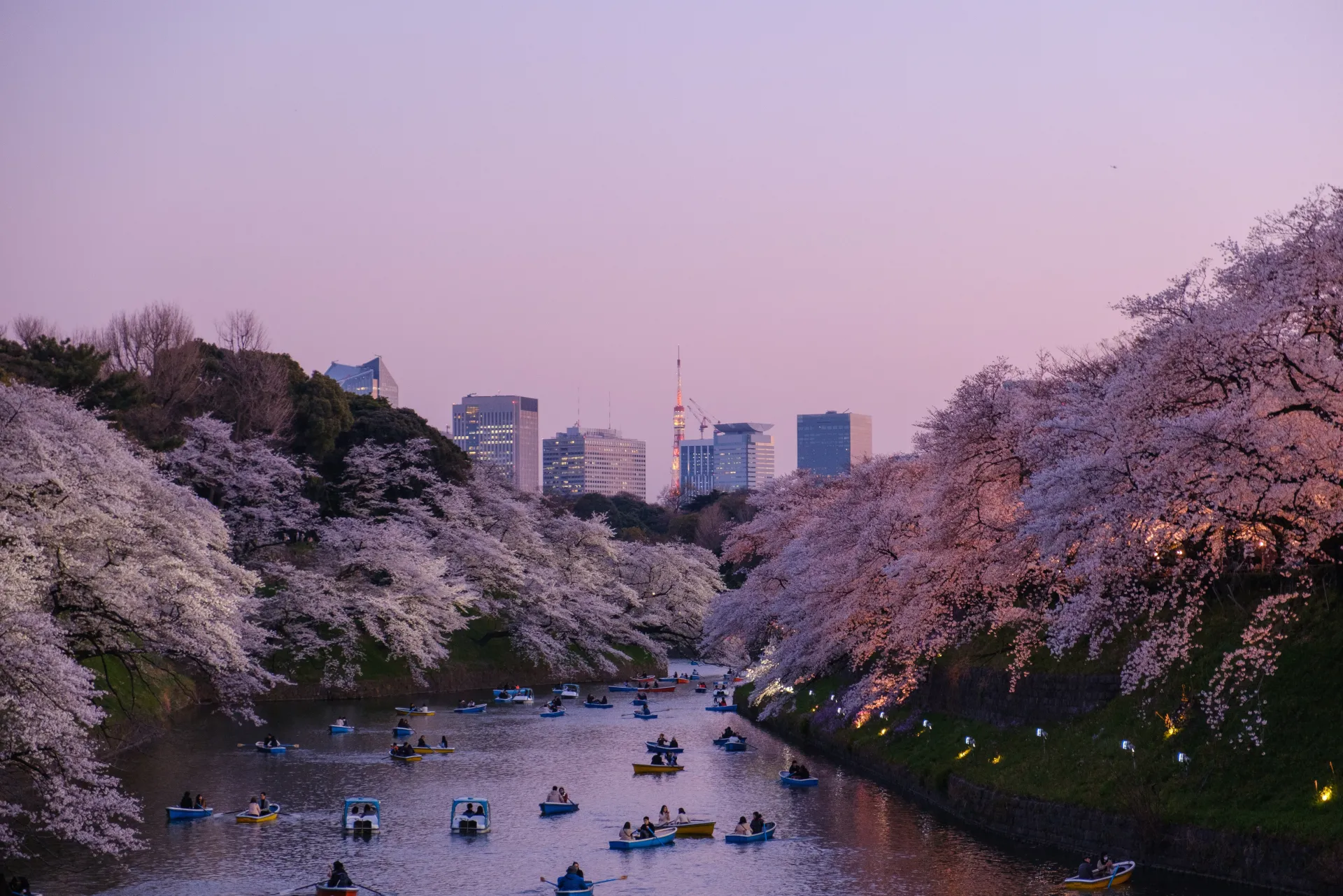 River skyline by Yu Kato