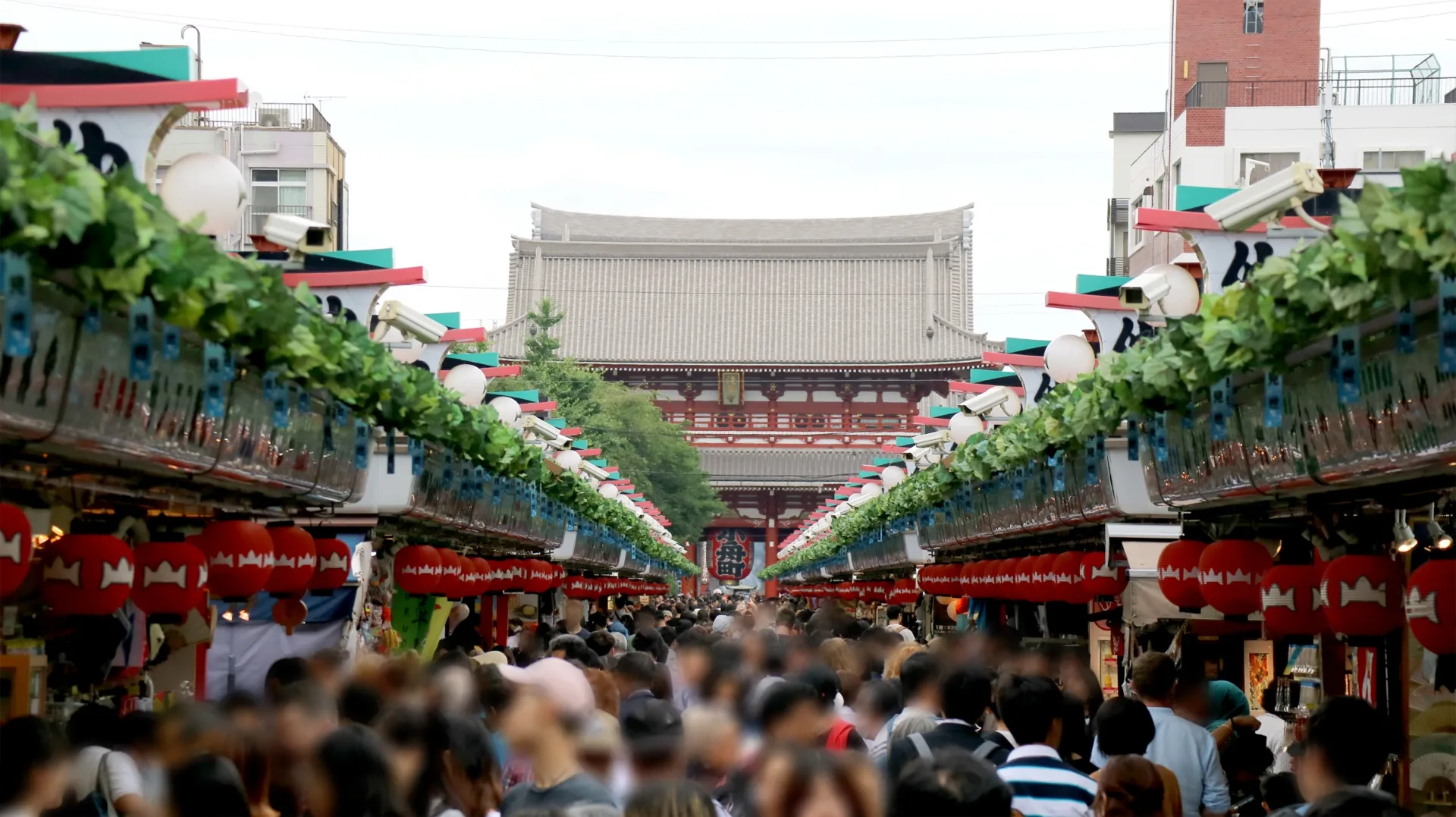 Are Chinese Tourists Coming Back to Japan? | SuMi Trust Asset